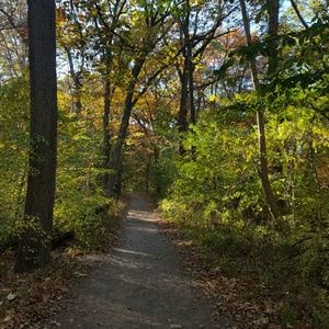 Meet your Posher, Sue