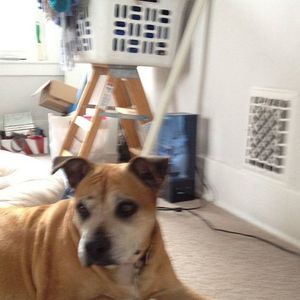 Meet your Posher, Maria