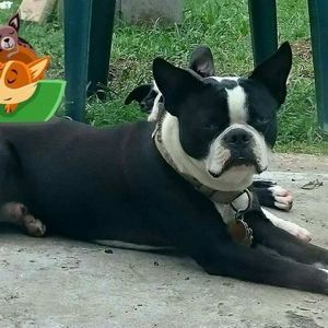 Meet your Posher, Marcos