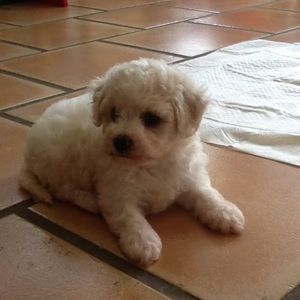 Meet your Posher, Abby