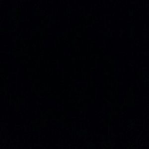 Meet your Posher, Bree