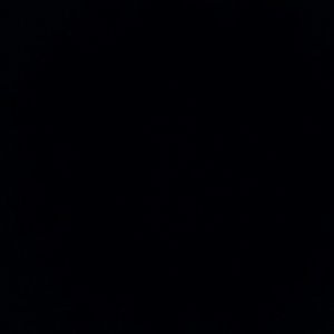 Meet your Posher, Trent