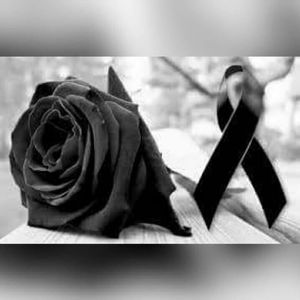 Meet your Posher, Cynthia