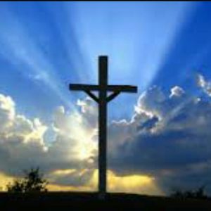 Meet your Posher, Sally