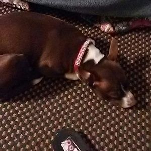 Meet your Posher, Sabrina