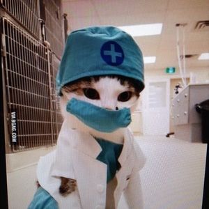 Meet your Posher, Grace