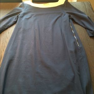 EUC Banana Republic Shift Dress