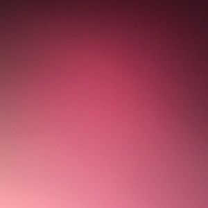 Meet your Posher, Tami