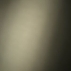 Meet your Posher, Damien