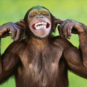 Meet your Posher, Gregori