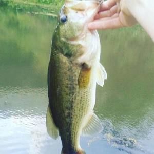 Meet your Posher, Johnny