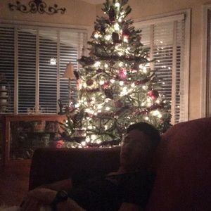 Meet your Posher, Katrina