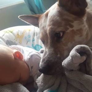 Meet your Posher, Alexander