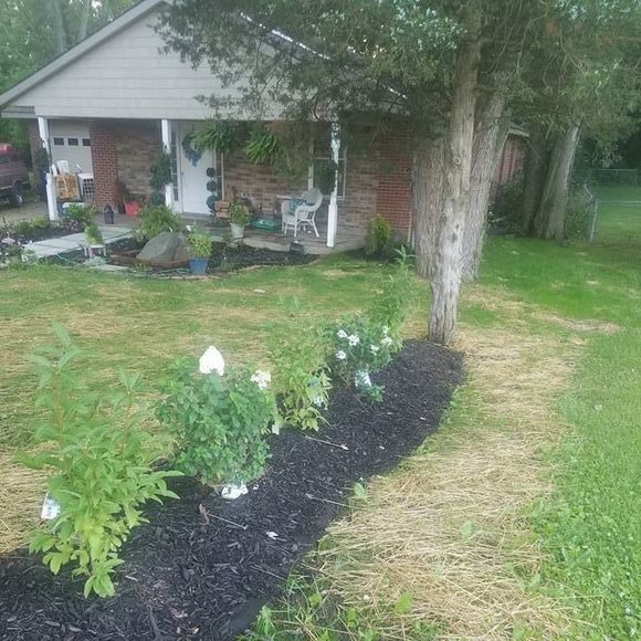 Meet your Posher, Nathan - Picture 1 of 1