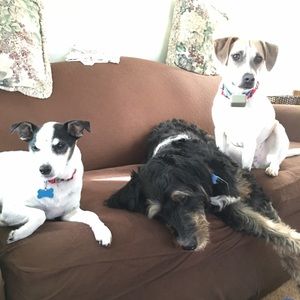 Meet your Posher, Danielle