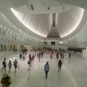 Meet your Posher, Kolins