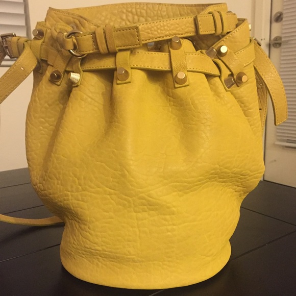 Alexander Wang leather bucket purse