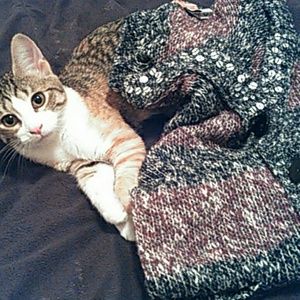 Long open cardigan sweater