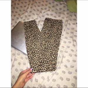 Hot cheetah print leggings from American apparel