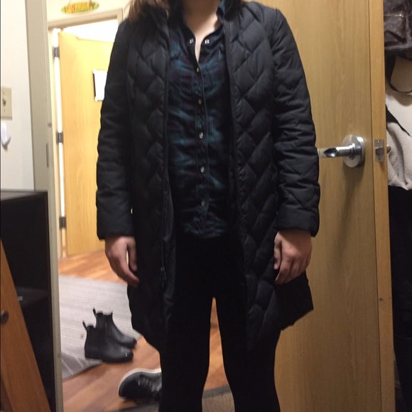ann taylor puffer jacket