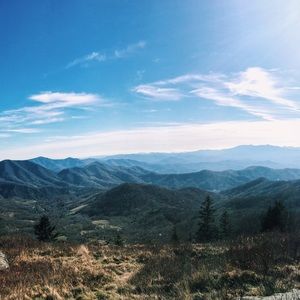 Meet your Posher, Abigail