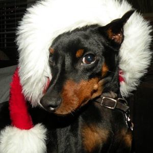 Meet your Posher, Heidi