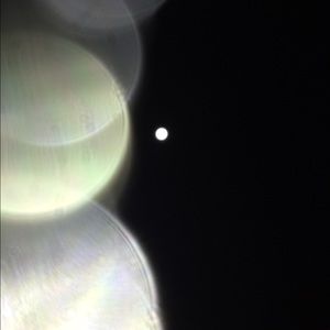 Meet your Posher, Bertin