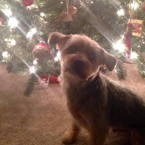 Meet your Posher, Angie