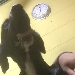 Meet your Posher, Andres