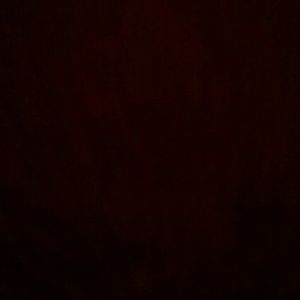 Meet your Posher, Mireya