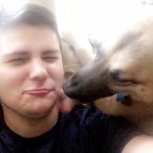 Meet your Posher, Joe