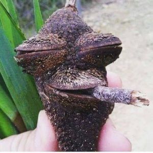 Meet your Posher, Jake