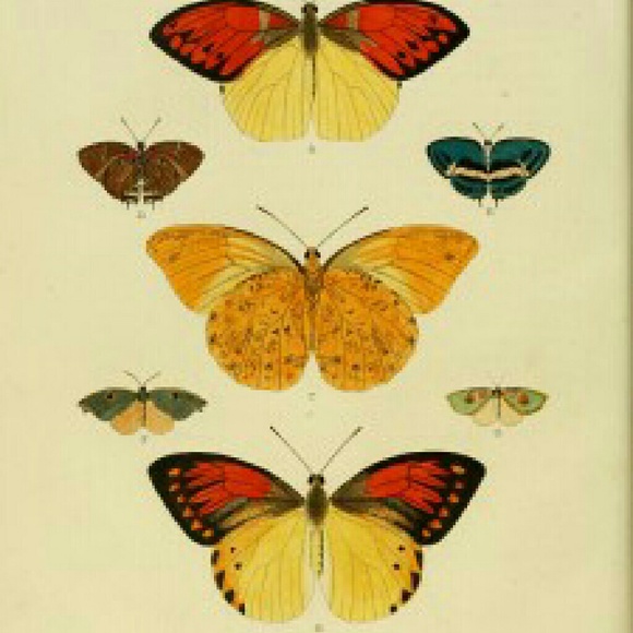 Meet your Posher, Sommer - Picture 1 of 1