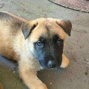 Meet your Posher, Edward