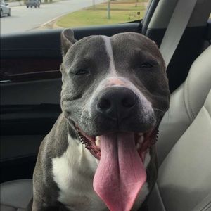 Meet your Posher, Dee