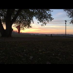 Meet your Posher, Zac