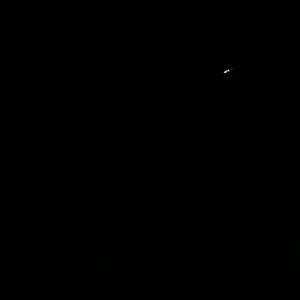 Meet your Posher, Carolina