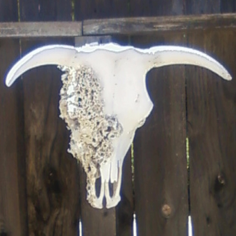 Meet your Posher, Donna Jo