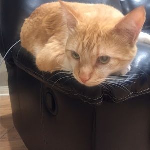 Meet your Posher, Beth