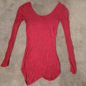Express Red Sweater