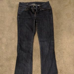 Ann Taylor 2P Modern Fit Jeans