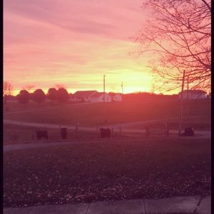 Meet your Posher, Carrie