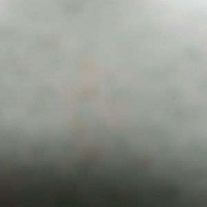 Meet your Posher, Hunter