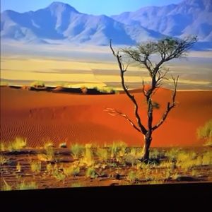 Meet your Posher, Julianne