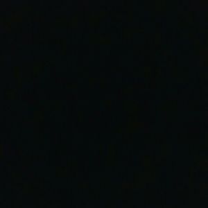 Meet your Posher, Jessie