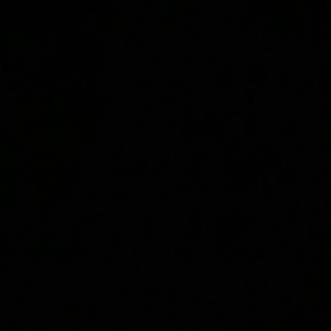 Meet your Posher, Debbee