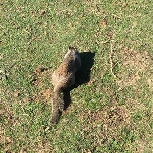 Meet your Posher, Melanie