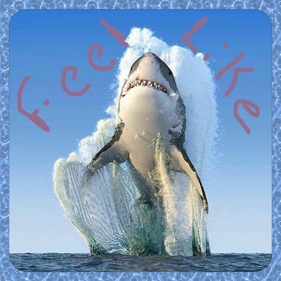 🎉Suggested User!🎉 - Picture 2 of 3