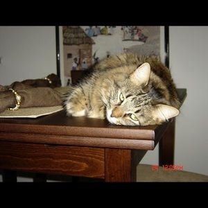 Meet your Posher, Rhonda