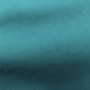 Meet your Posher, Tierra